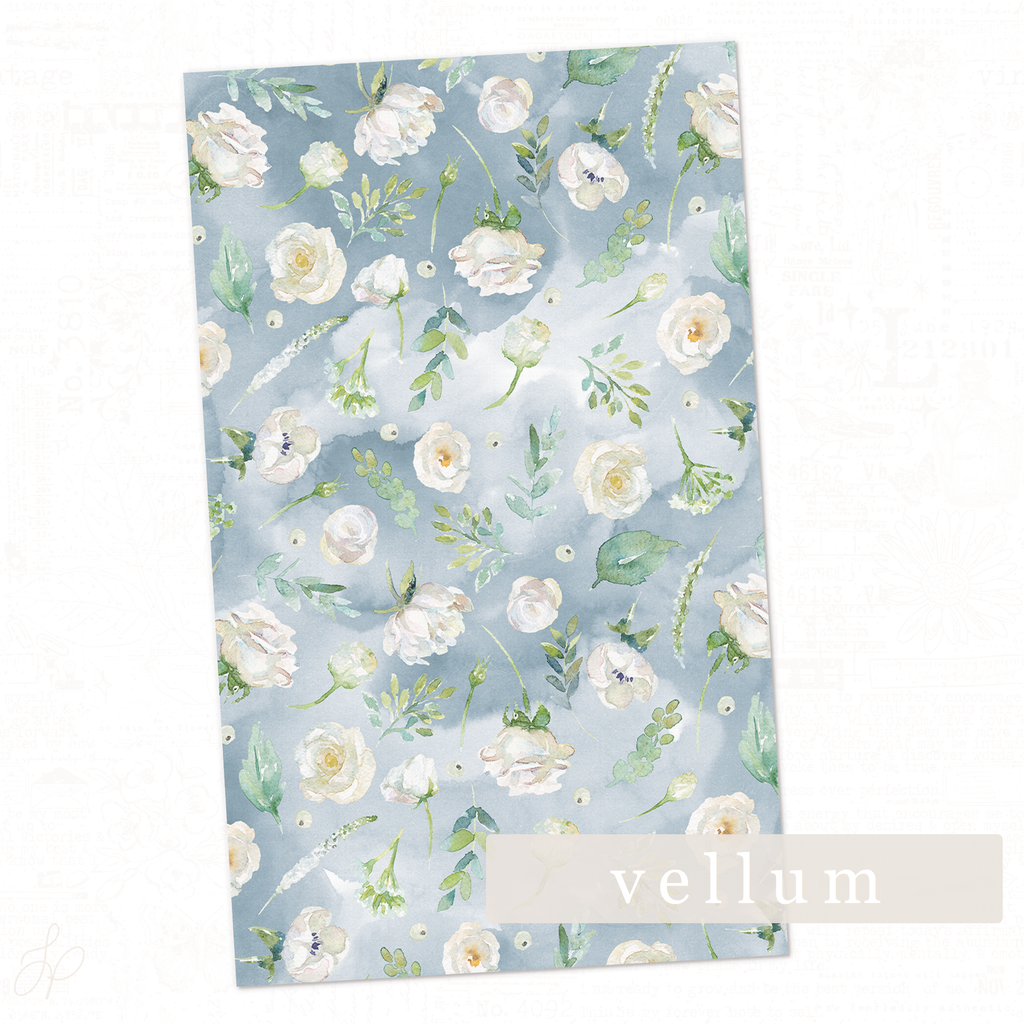 Serenity Collection | Vellum