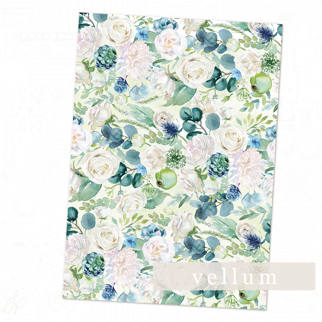 Serenity Collection | Vellum