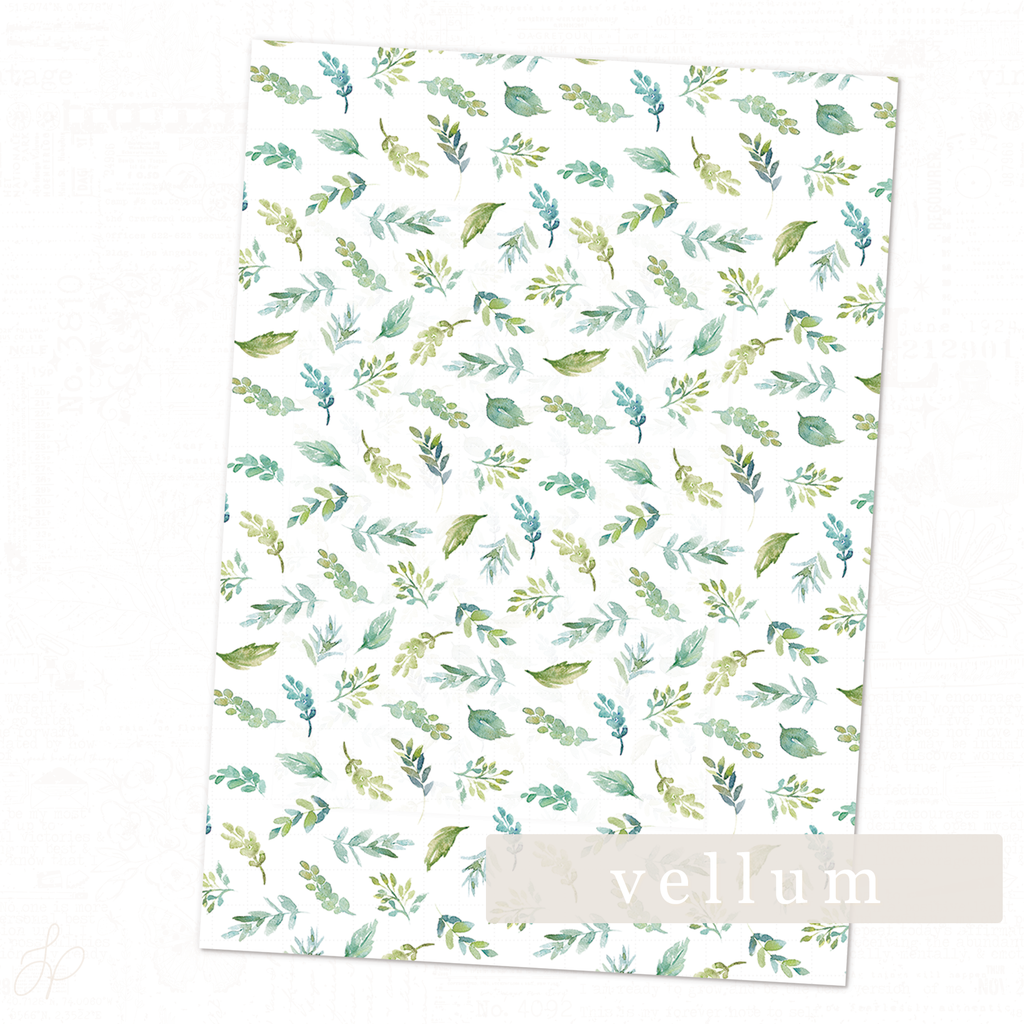 Serenity Collection | Vellum